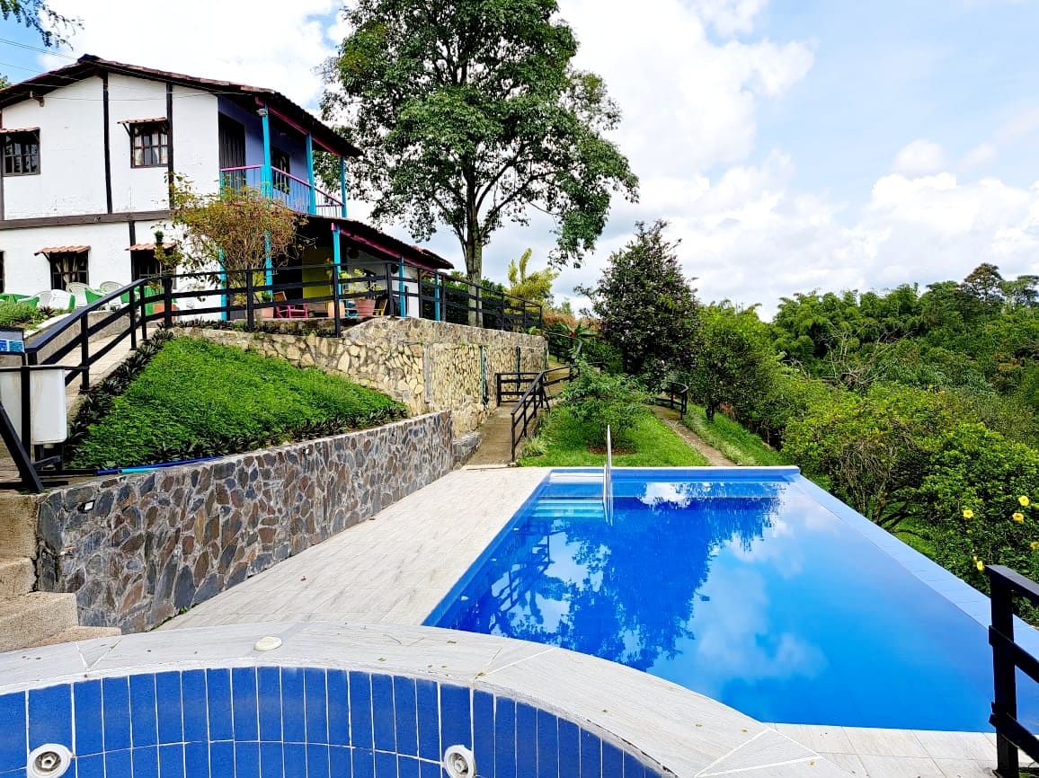 Piscina con borde en piedra y vista natural en Finca Hotel Palma de Iraka Quindío